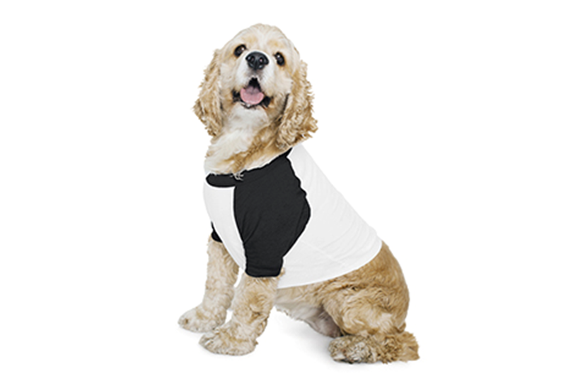 3/4-Sleeve Raglan Dog T-Shirt