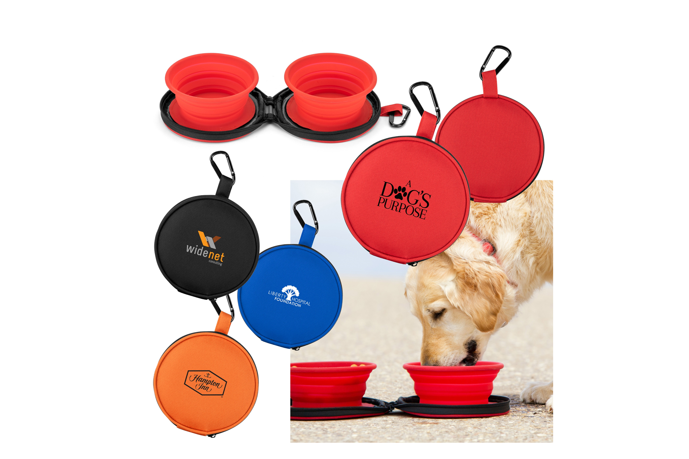 Collapsible Bowls with Case