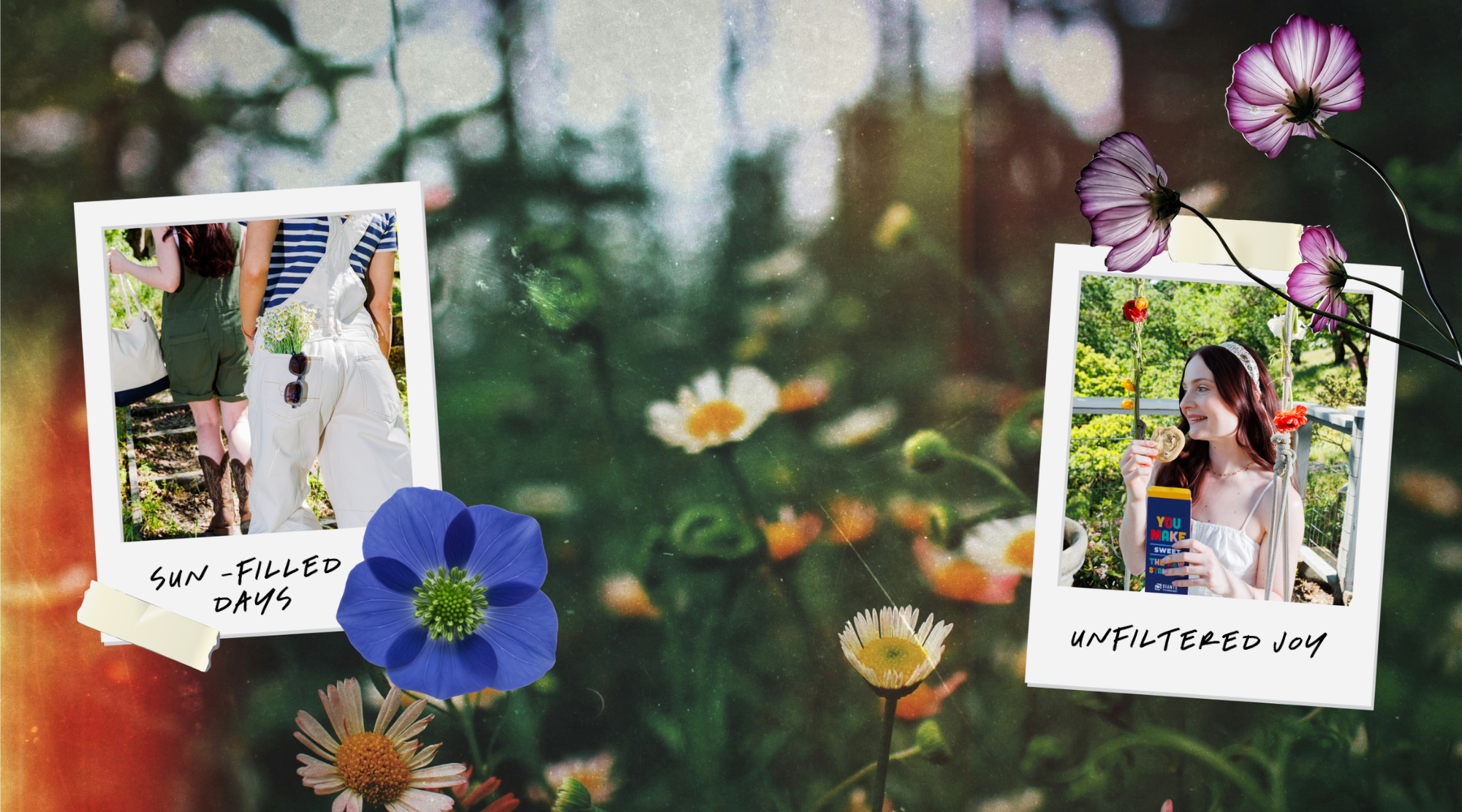 MEADOW