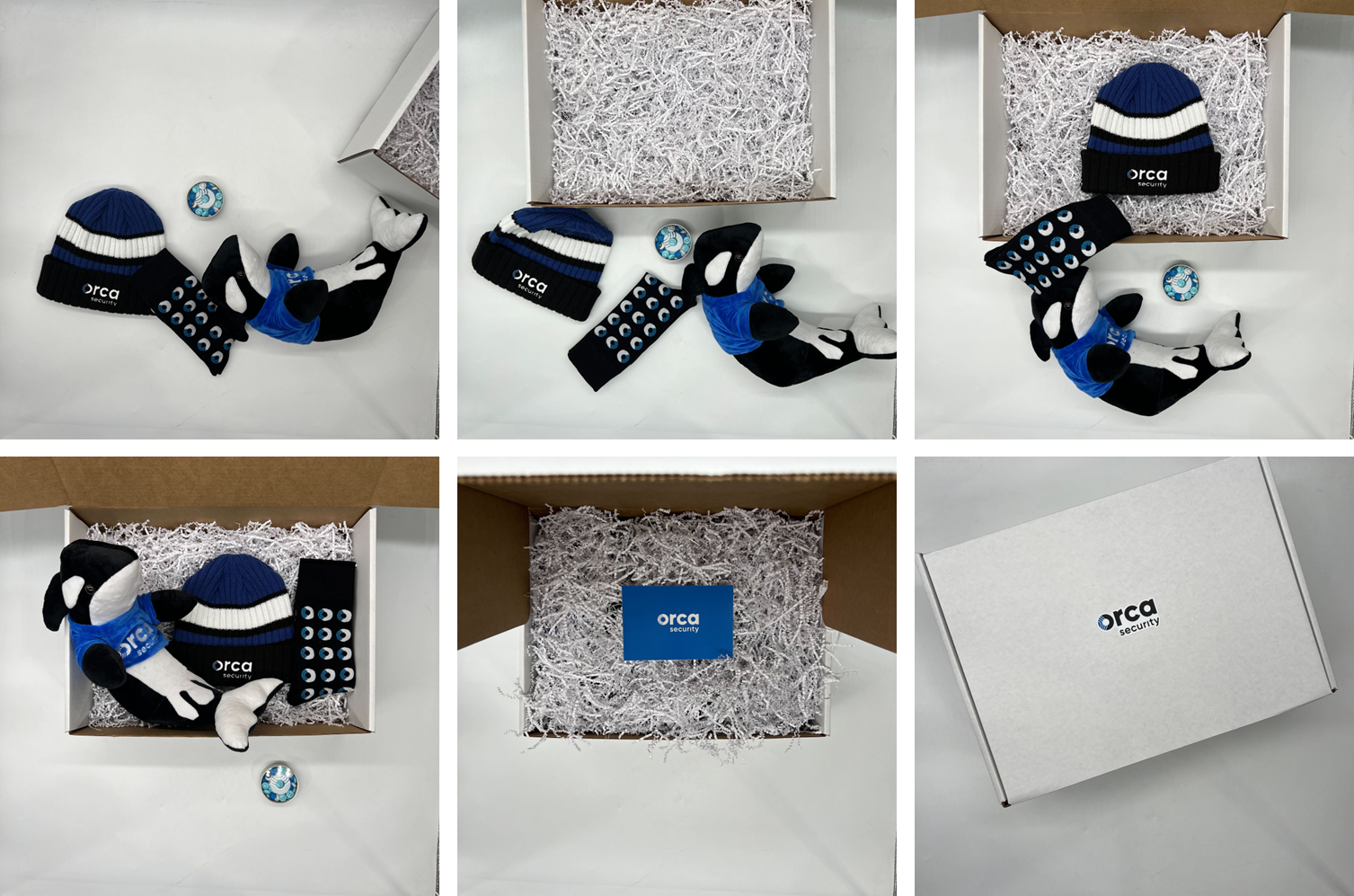 Orca Valentine’s Day