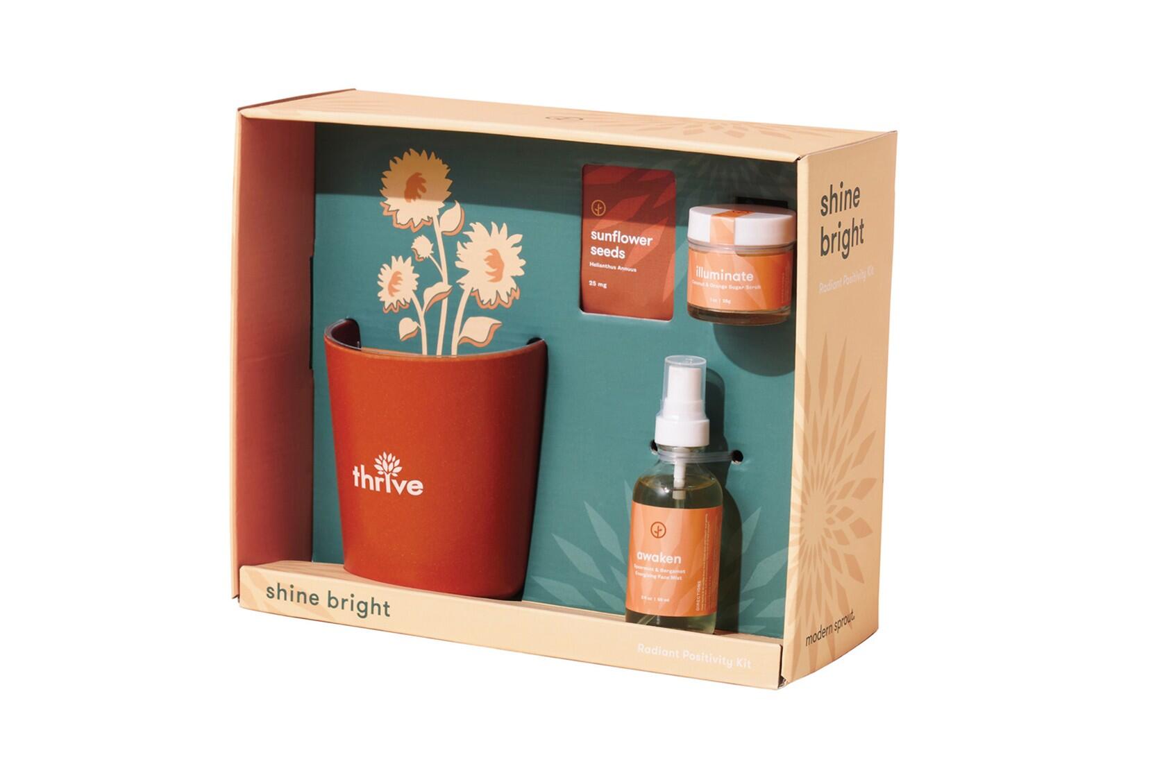 Modern Sprout Shine Bright Take Care Kit