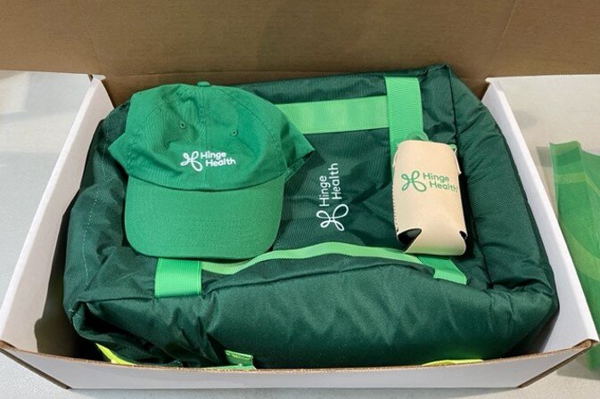 Hinge Health Rebrand Kit